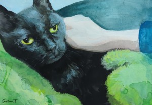 exid124777wid108830 / クロ、私の全て