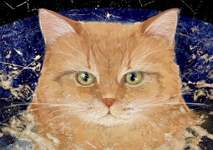 exid124595wid108648 / Love to all cats forever.