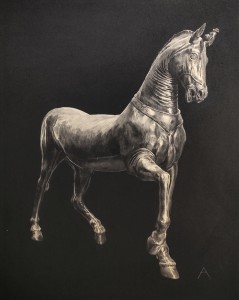 exid124133wid108217 / マッツォッキの馬 25036