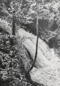 exid124138wid108222 / マルモレの滝 25016