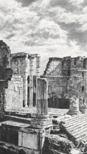 exid124136wid108220 / フォリ・インペリアーリ 25050