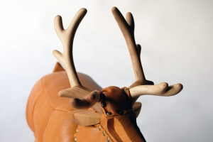 北奥美帆/Rudolph