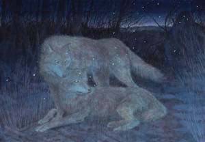 exid121009wid105156 / 暁の瞳 2