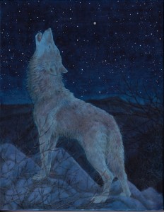 exid121010wid105157 / 北極星 5