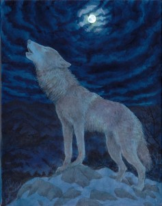 exid121011wid105158 / 幾望 5