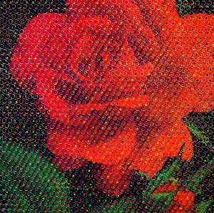 内田 有/Rose