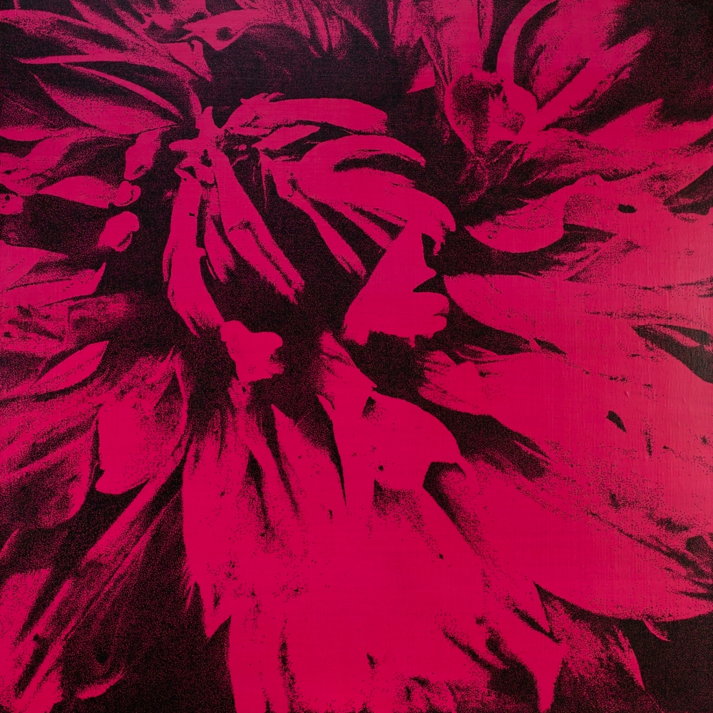 文蔵/No.1 flower(dahlia) pink/exid38007wid36364