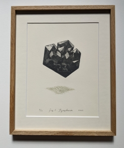 ema kawanago/Fig.3 Symphonie