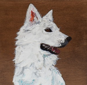 exid134427wid115029 / White Shepherd ’26
