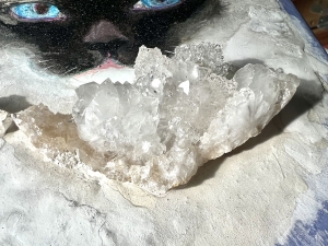 ヒカリタケウチ/にゃ〜↑よー→