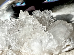 ヒカリタケウチ/にゃ〜↑よー→