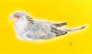 exid125385wid109312 / サブレー