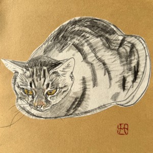 exid125456wid109383 / 5