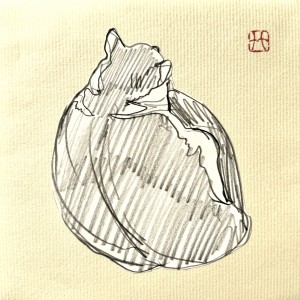 exid125461wid109388 / 10