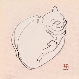 exid125464wid109391 / 13