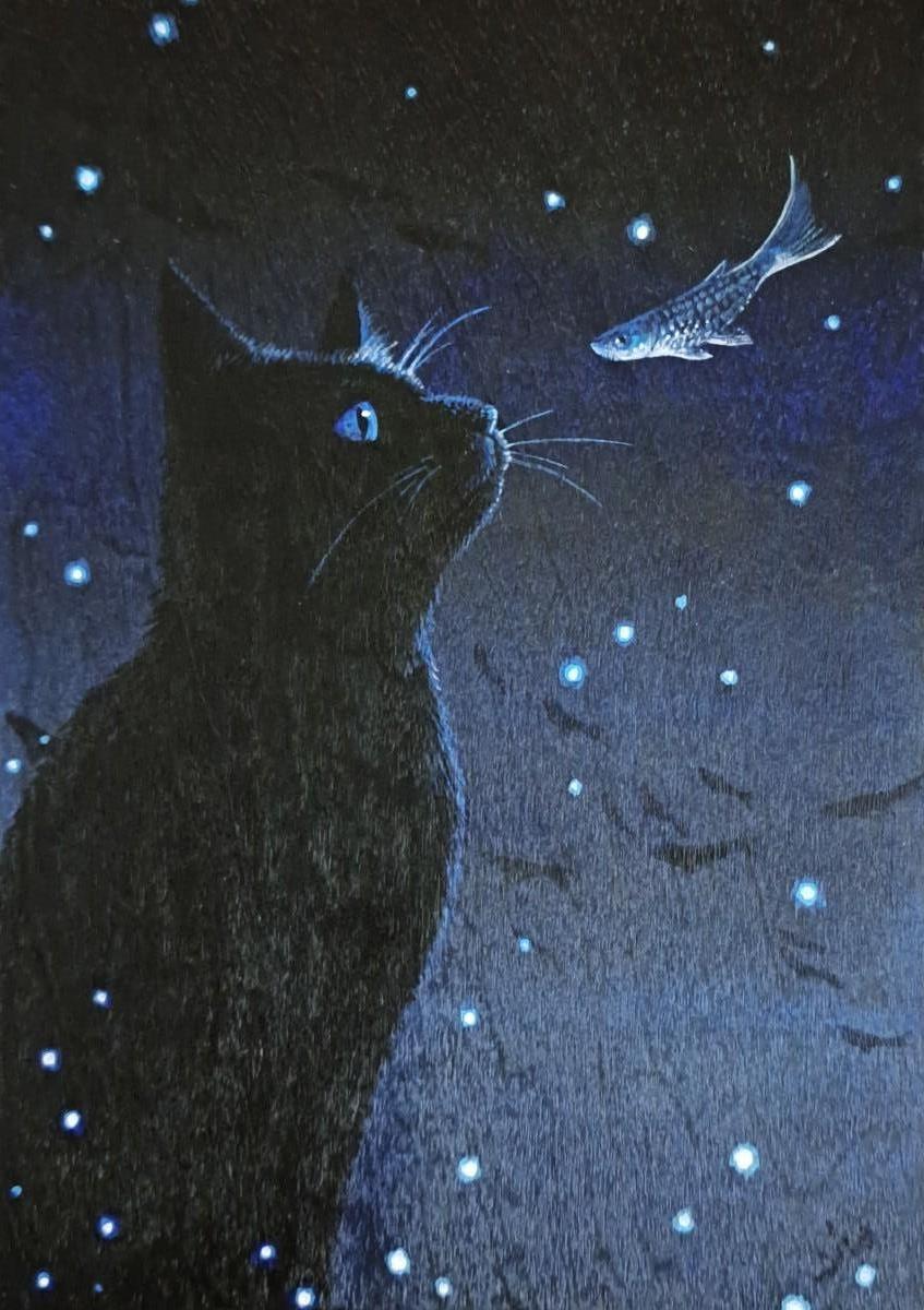 上渕 翔/夜半の出会い/exid115380wid100384