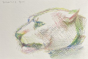 exid124373wid108426 / No.1