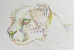 exid124378wid108431 / No.6