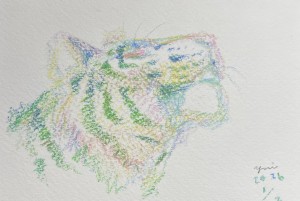 exid124379wid108432 / No.7