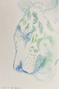 exid124380wid108433 / No.8