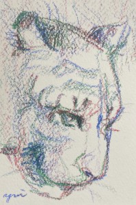 exid124383wid108436 / No.11