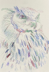 exid124520wid108573 / No.12