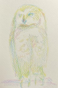 exid124521wid108574 / No.13