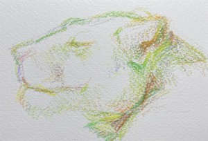 exid124551wid108604 / No.14