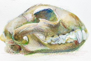 exid124590wid108643 / No.15