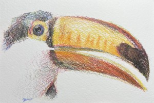 exid126028wid109955 / No.17