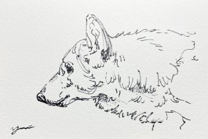 exid126078wid110005 / No.18