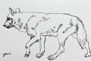 exid126079wid110006 / No.19