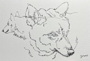 exid126212wid110076 / No.20