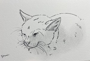 exid126323wid110187 / No.21