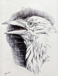 exid127375wid111176 / No.22