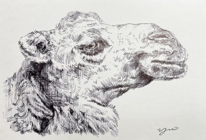 exid127459wid111260 / No.23