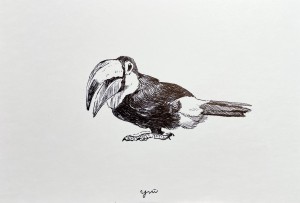 exid127576wid111377 / No.24