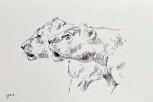 exid127577wid111378 / No.25