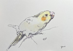 exid127578wid111379 / No.26