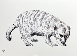 exid127702wid111503 / No.27