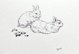 exid127726wid111527 / No.30