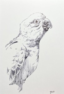 exid127829wid111567 / No.31