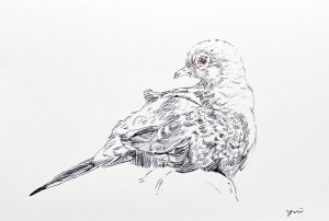 exid127831wid111569 / No.32