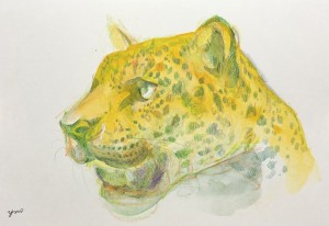 exid129018wid111733 / No.33