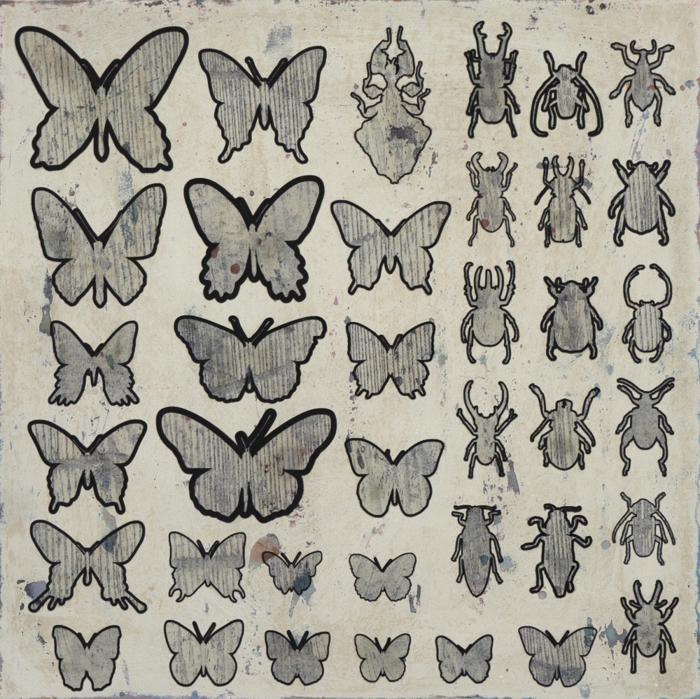 中嶋 弘樹/retrospect -Insect specimen/exid39717wid40915