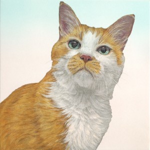 exid121917wid106001 / portrait #1