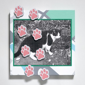 exid124667wid108720 / キャットウォーク