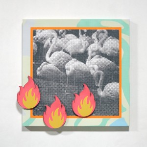 exid129133wid111817 / flame