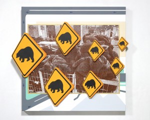 exid129487wid112108 / BEAR IN AREA
