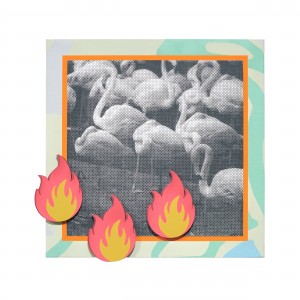 exid132977wid113579 / flame